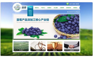 襄陽佰蒂生物科技 驅(qū)動(dòng)現(xiàn)代農(nóng)業(yè)的綠色引擎